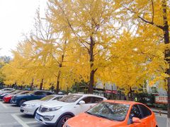 -沙河三洞古桥公园