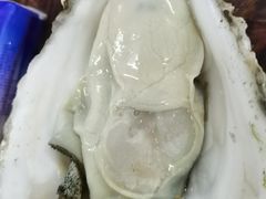-四季美蚝皇