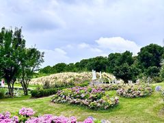 -嘉北郊野公园