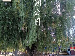 -长春市南湖公园