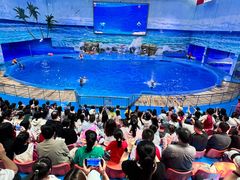 -多彩贵州城极地海洋世界