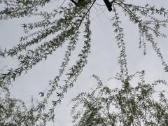 -大宁公园