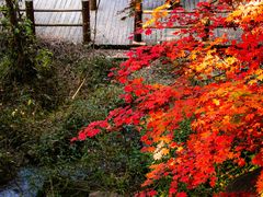 -九如山休闲旅游度假区