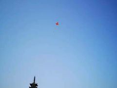 -上海方塔园