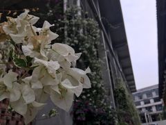 -广州市紫泥堂文化创意园景区