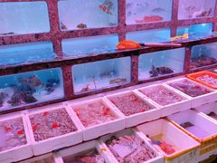 水产区-长平肥姐白粥·海鲜打冷
