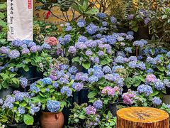 -花二家·生活馆(六运小区店)