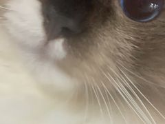 -佳雯宠物医院(四明中路分院)