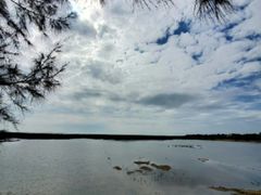 -北海金海湾红树林生态旅游区
