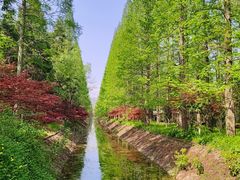 -东平国家森林公园