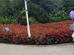 -长白岛森林公园