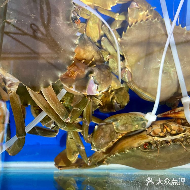 广州很出名数一数二“砂锅粥”店