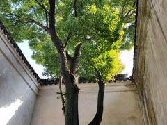 -乌镇东栅景区