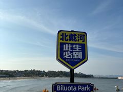 -北戴河碧螺塔海上酒吧公园