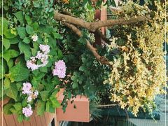 -La Terre乐田(万象城店)