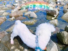 -青岛银沙滩