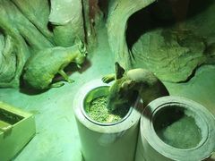 -zoonana室内动物园(东方福来德店)