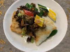 石斑球-伯衡55·吉品轩(乌鲁木齐南路店)