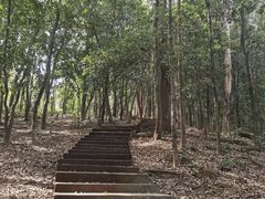-滴水岩森林公园