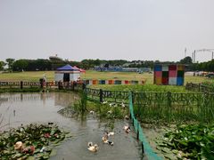 -武汉紫薇都市田园