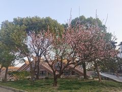 -广富林宰相府酒店·水云间
