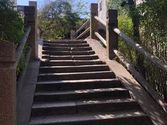 -黎里古镇