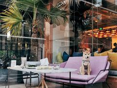 -the rug 飞毯 (朝阳公园店)