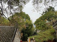 -潭柘寺景区