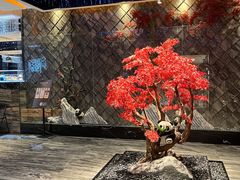 -红辣椒·川菜·火锅(大洋中心店)