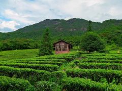 -姑婆山旅游区