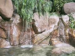 -上海海洋水族馆