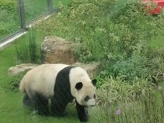 -无锡动物园·太湖欢乐园