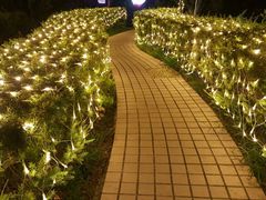 -广州花之恋城堡酒店