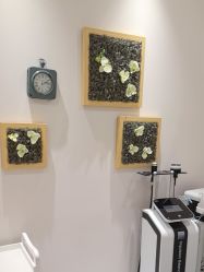 点击看大图 -芳朵美容养生SPA