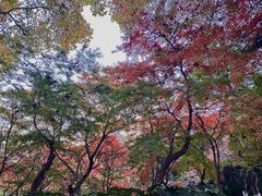 -雨花台烈士纪念馆