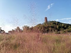 -红花山公园