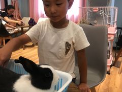 -藦茜花园宠物主题亲子互动体验馆(国顺东路店)