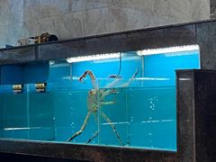 -万禧明珠大酒楼(海丰店)