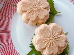 -Hi City·城市之巅