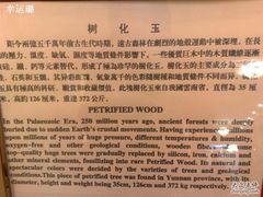-钓鱼台国宾馆