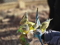 -茅山东方盐湖城景区