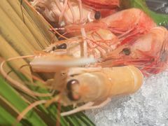 -桃夭日式料理(国信店)