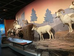 -陕西自然博物馆