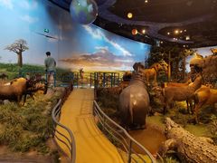 -陕西自然博物馆