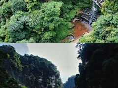 -碧峰峡风景区