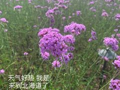 -盒马鲜生(馥邦国际店)