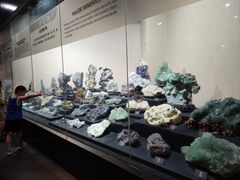 -烟台自然博物馆