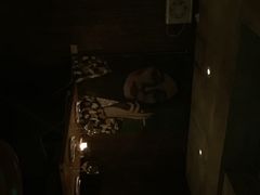 Ginger&nbsp;by&nbsp;the&nbsp;park-Ginger(兴国路店)