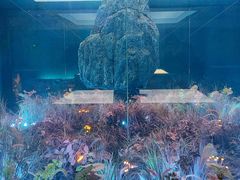 -江宁织造博物馆