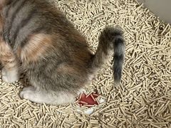 -爱诺耐芙动物医院(万博店)